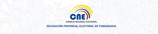 81% de organizaciones políticas incumplen requisitos para promoción electoral.