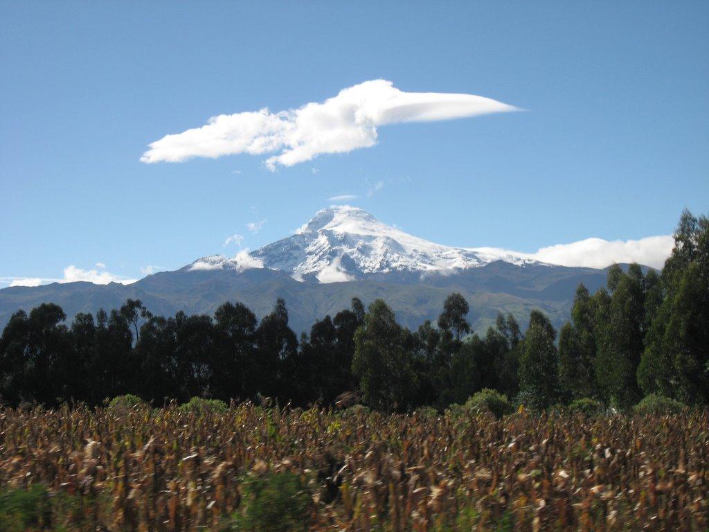 CAYAMBE