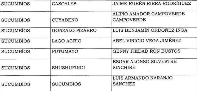 22-01-2015 2da convocatoria a GADM para CNP