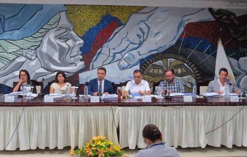 24-06-2015 cne pleno