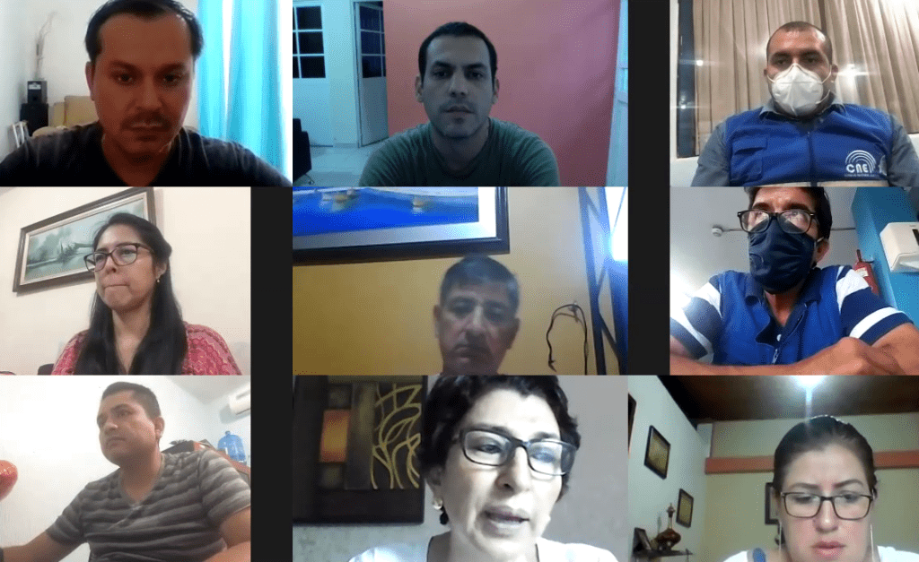 290720 cnenapo videoconferenciatrabajo