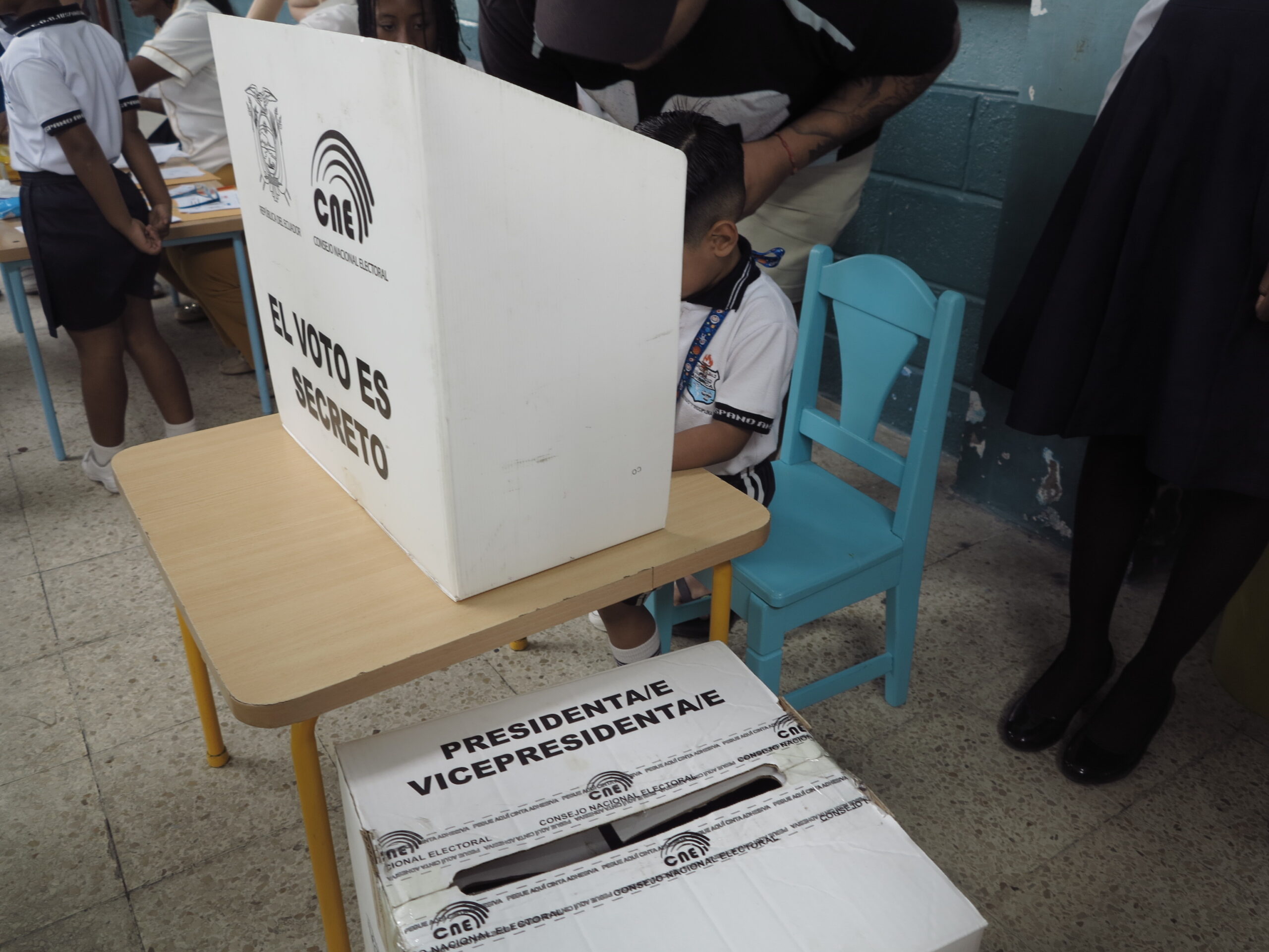 Veedurías electorales