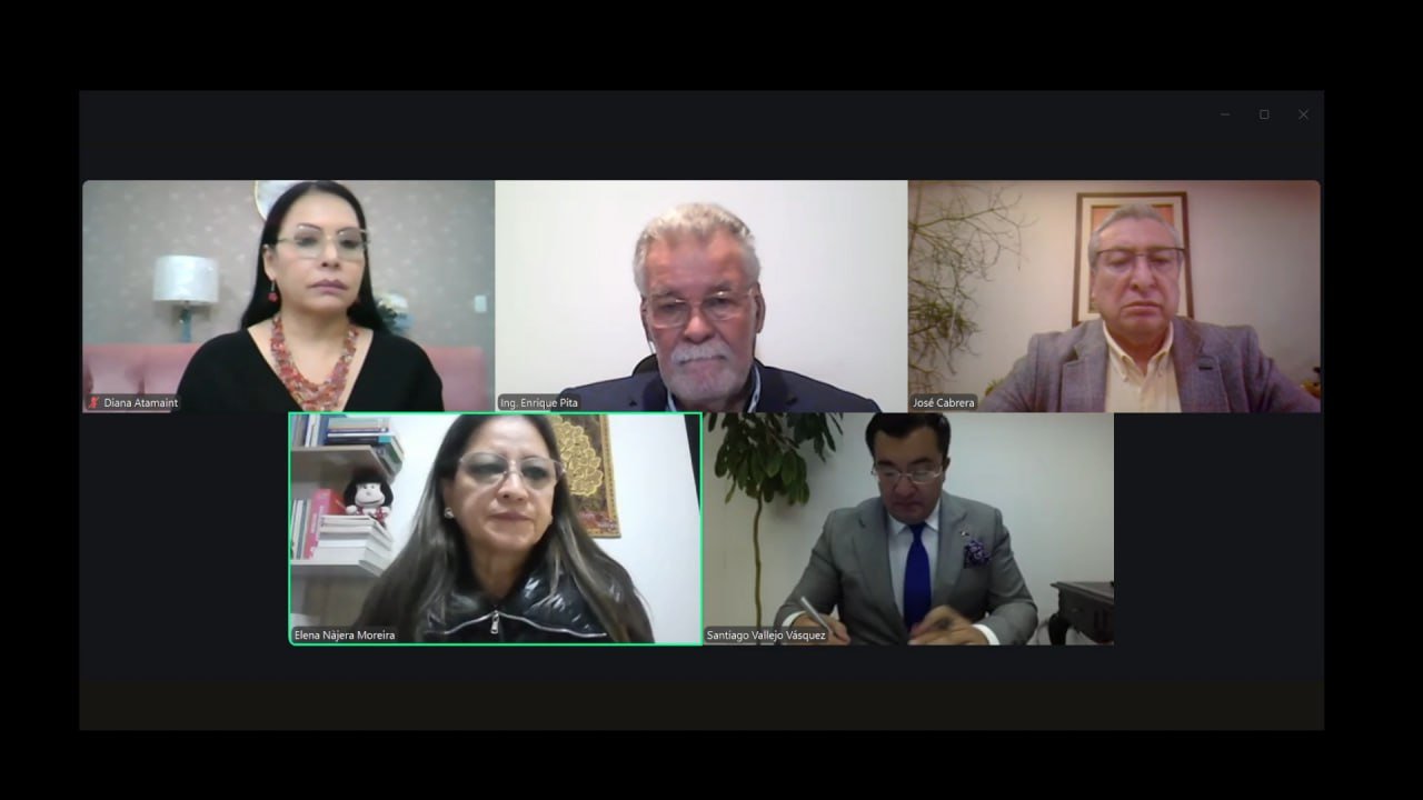 Consulta Popular Borbón